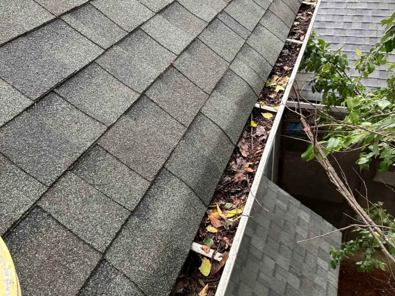 Clogged gutters in Charlotte before gutter guard installation